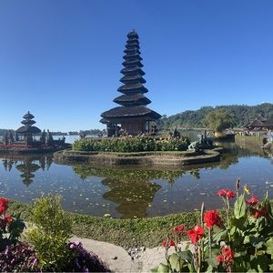 Meet your Posher, Jeannine